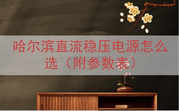 哈尔滨直流稳压电源怎么选（附参数表）