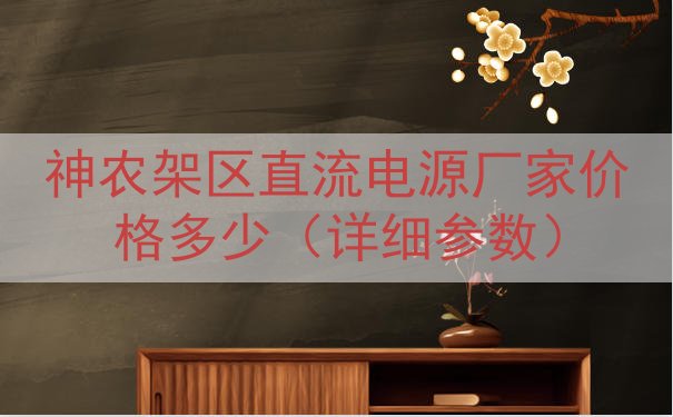 神农架区直流电源厂家价格多少（详细参数）